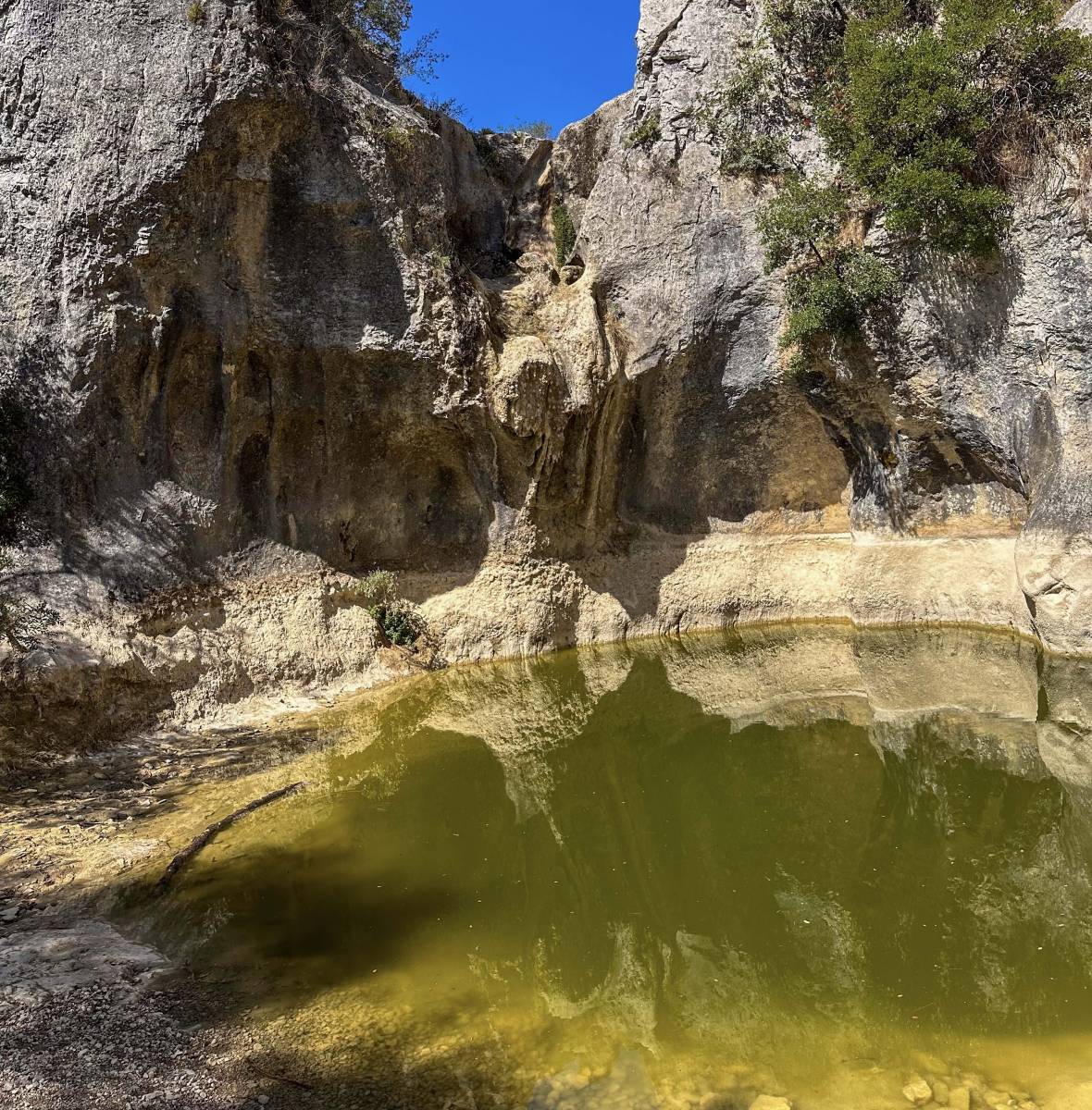Le Gour de la Sompe en été 