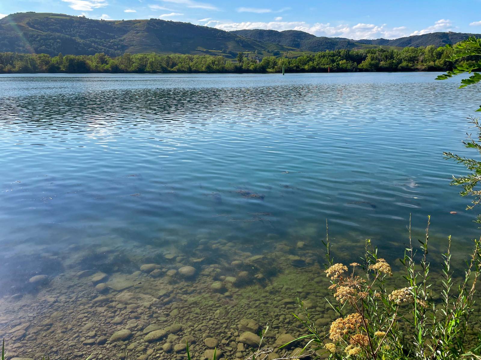 Le fleuve Rhône paisible vers Montélimar