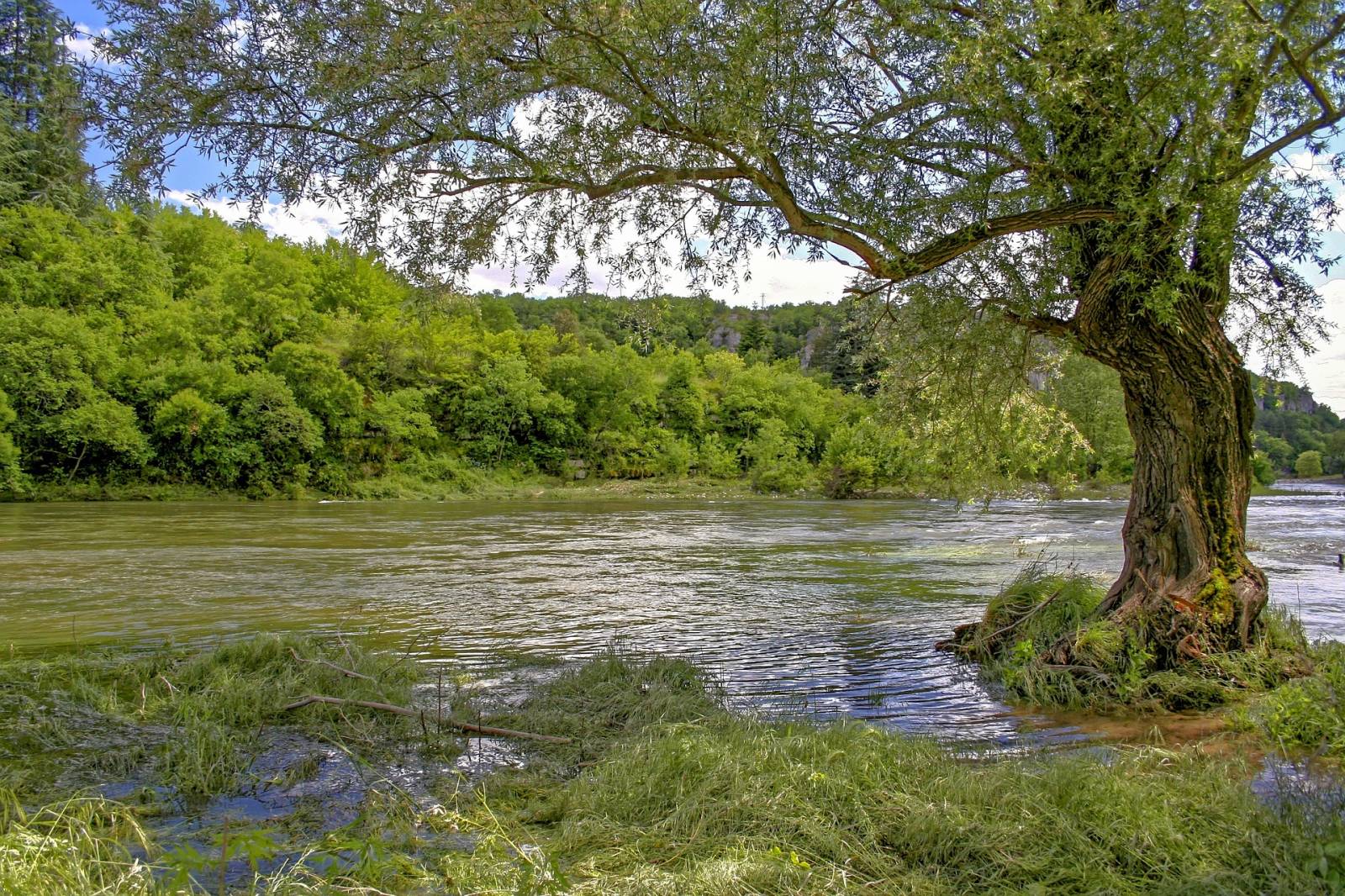 Les berges de l'Ardèche à Balazuc