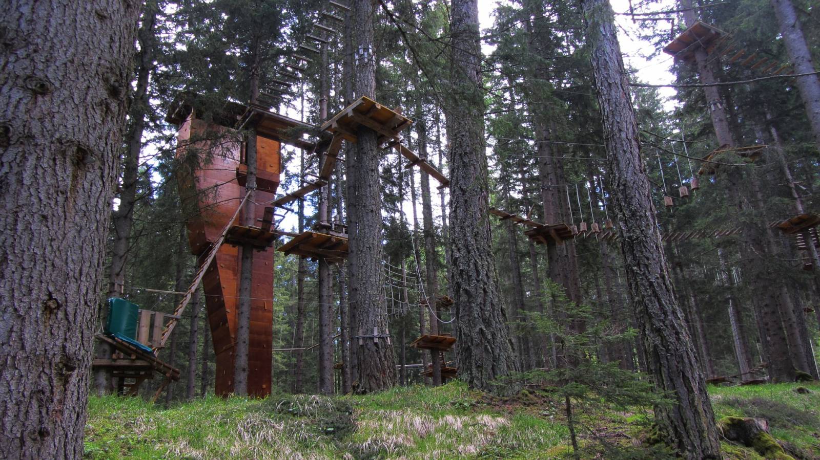 Parcours d'accrobranche