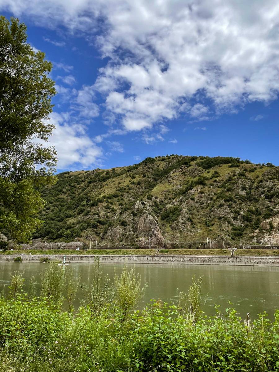 Les berges du Rhône